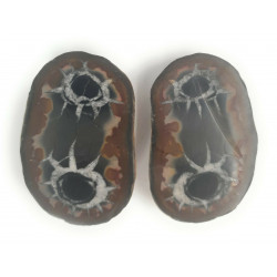 Pareja de Septária Piedra...