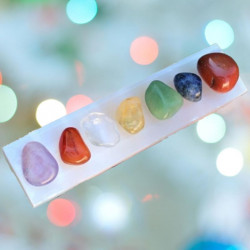 2 Placas de Carga de...