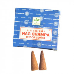 6 Cajas de Incienso en Cono...