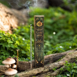 2 Cajas de Incienso...